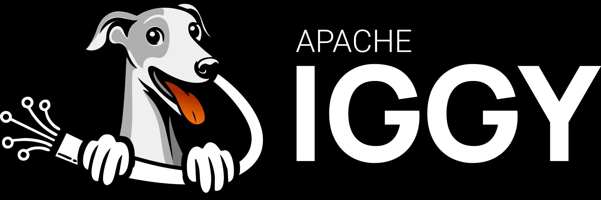 Logo Iggy