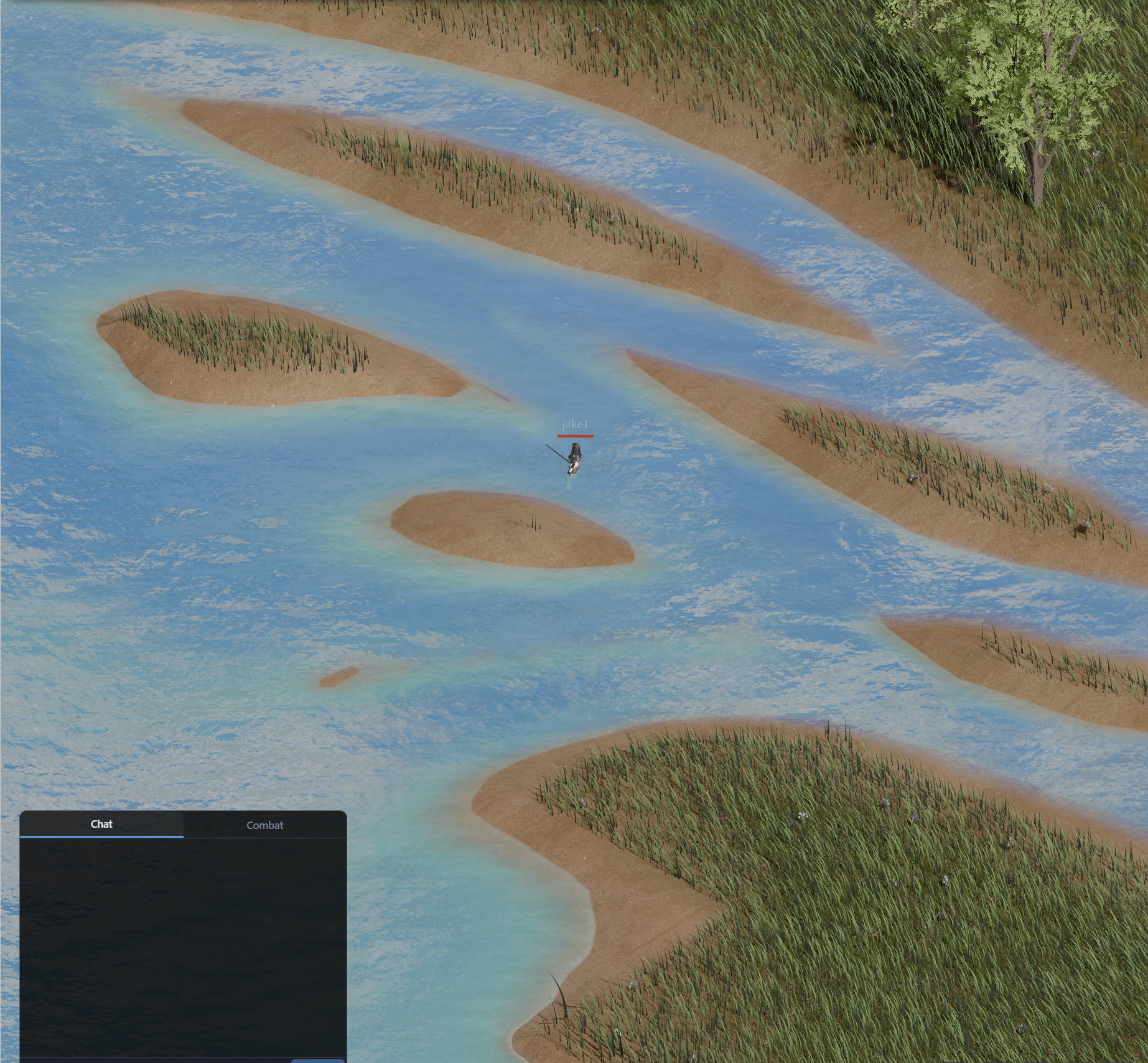 River delta with branching tributaries