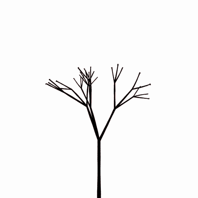 Bonsai